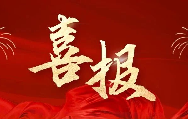 再创佳绩！荣县第三人民医院连续两年获评全国二级公立精神专科医院绩效考核A档