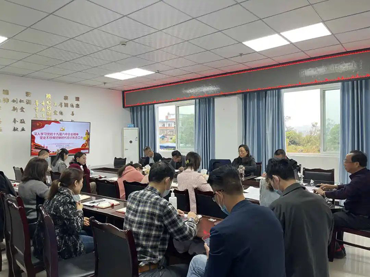 深入学习党的十九届六中全会精神，坚定不移做好新时代意识形态工作